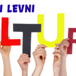 Shani Levni: Exploring the Voice, Vision, and Influence of a Modern Creative Figure