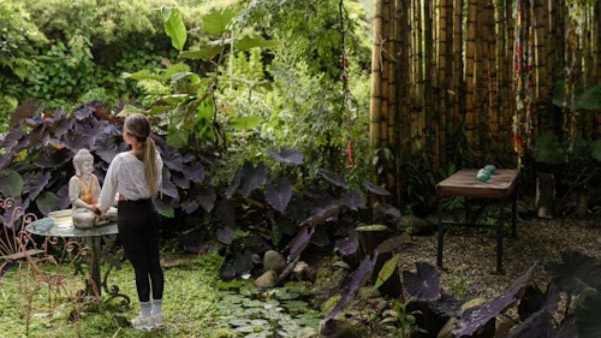 Little Garden in One Piece