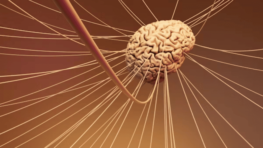 Cellulogia