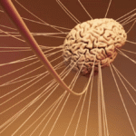 Cellulogia Explained: Origins, Principles, Applications, and Future Directions