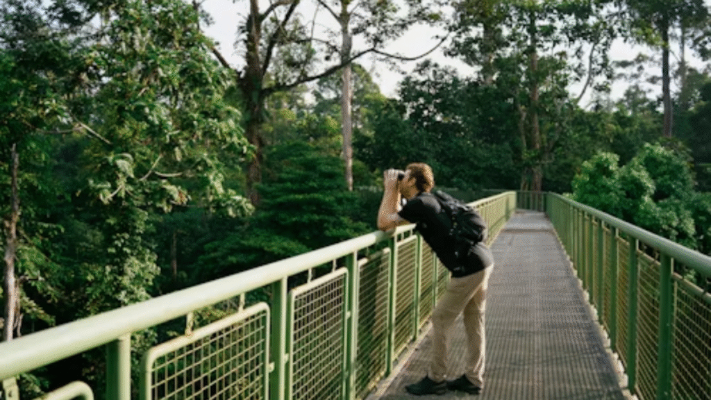 Central Parkii: Blending Nature, Culture, and Technology