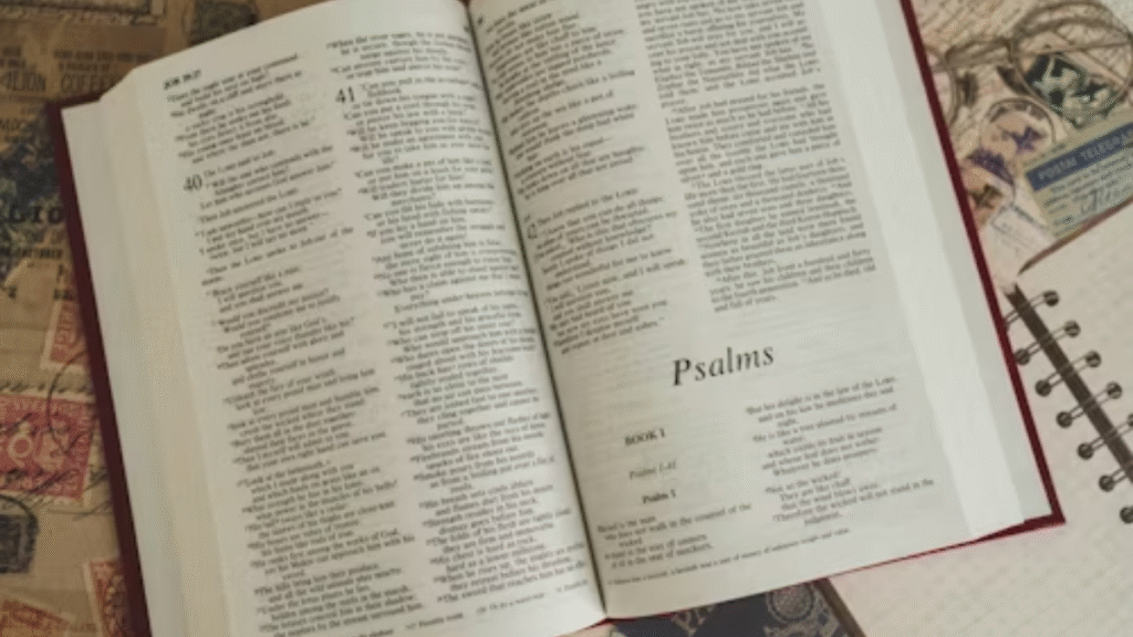 Faibloh: A Complete Guide to Its Role in Language, Identity