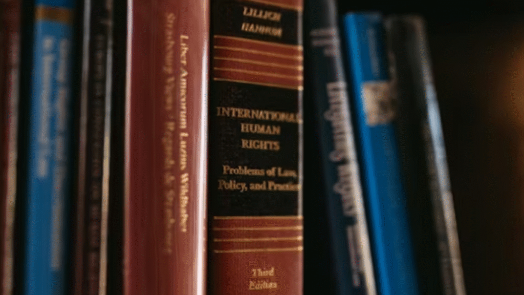 Primerem: Meaning, Importance, and Evolving Relevance