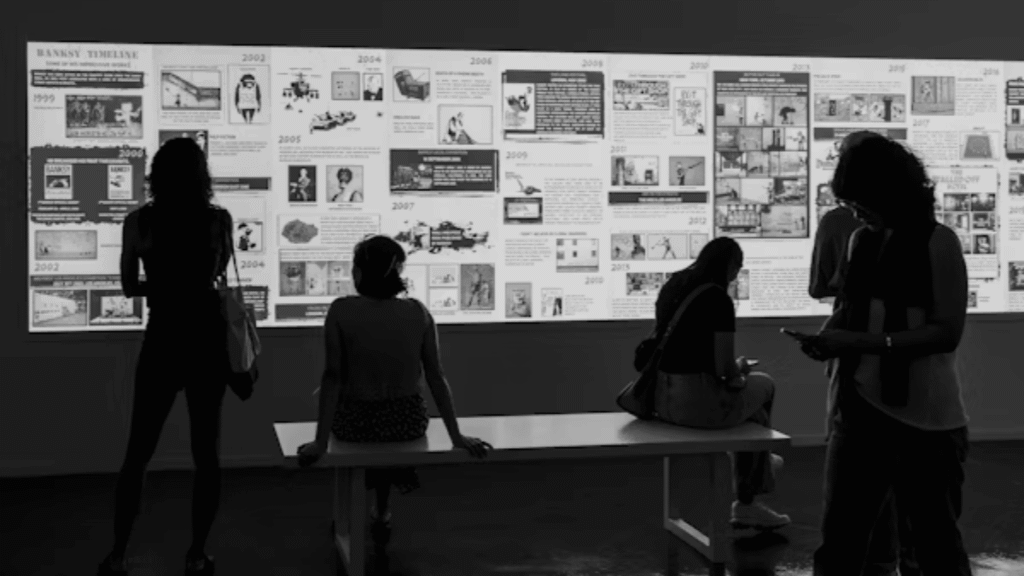 Cñims: Meaning, Applications, and Relevance in a World Driven by Information