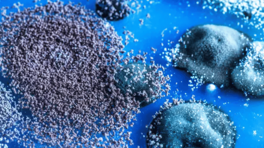 Mold Molds Demystified: From Household Risks to Industrial Uses