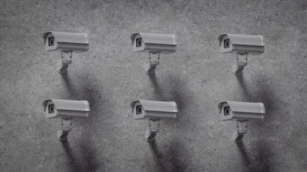 Laararose Leaks: Understanding Digital Privacy, Online Culture