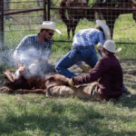 Texas Hunting Forum: