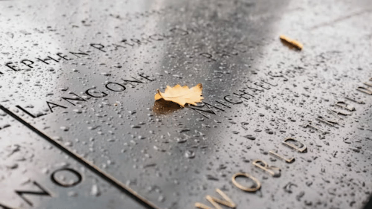 Shaun Hamilton Funeral Notices