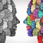 The Anatomy of a Clash: Understanding Conflict, Culture, and Change in a Fractured World