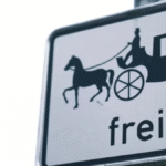 Frehf: The Complete Informational Guide for 2025