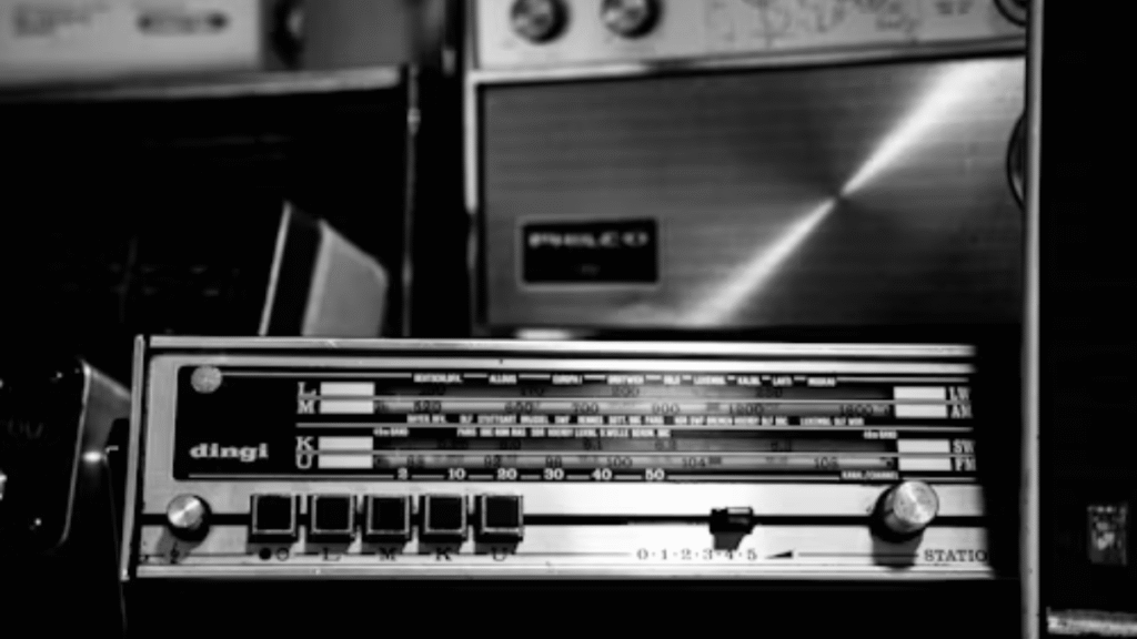 dpboos net final ank:Traditional Records to Modern Digital