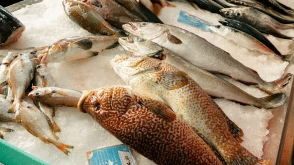 Big Seer Fish Guide: Everything You Need to Know About This Popular Seafood