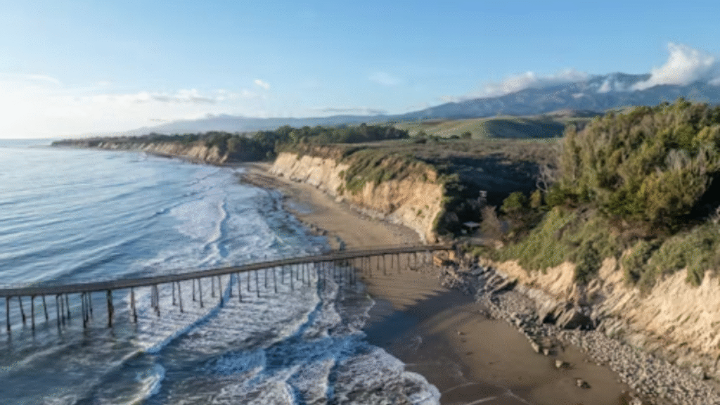Cali Laguna: The Future of Art, Ecology, and Coastal Living in California