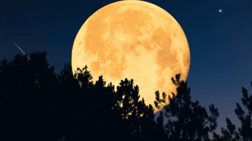 Harvest Moon
