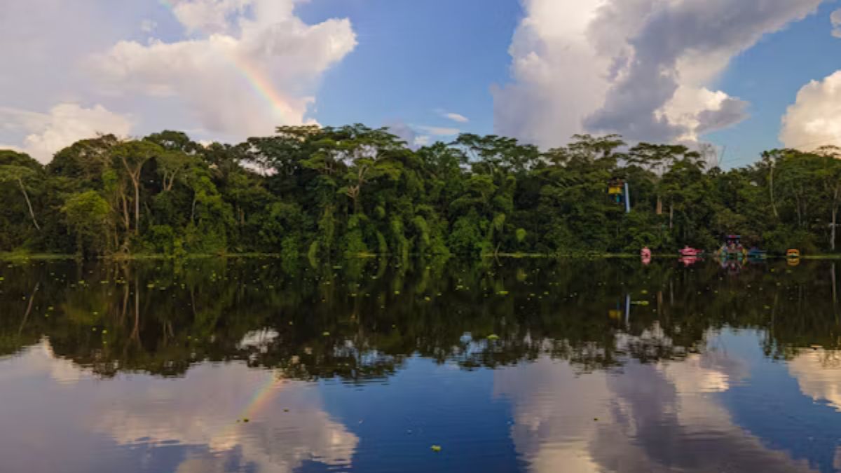 The Biodiversity of the Amazon: A Treasure Trove of Life