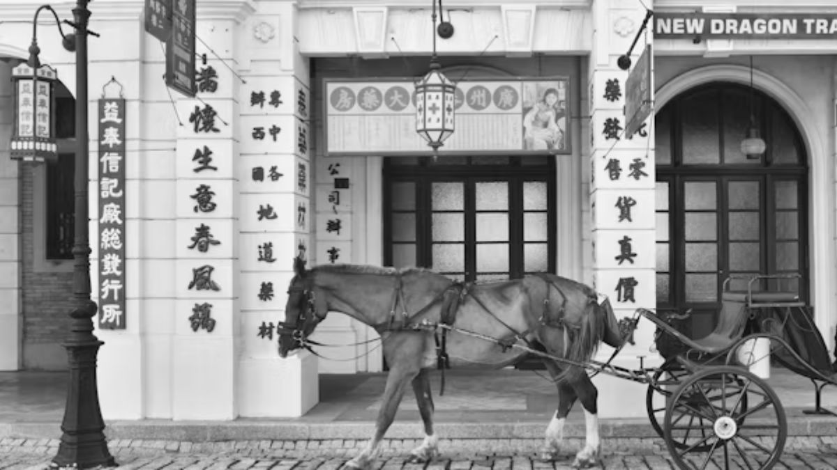 BK Horse: A Journey Through History and Heritage