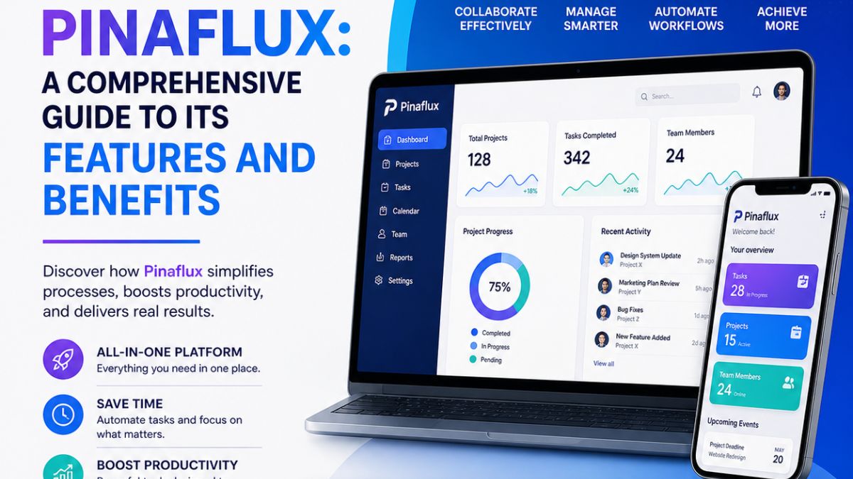 Pinaflux: A Comprehensive Guide to Its Features and Benefits